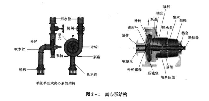 离心泵的构造