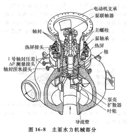 泵的内部示意图 纸浆泵厂家